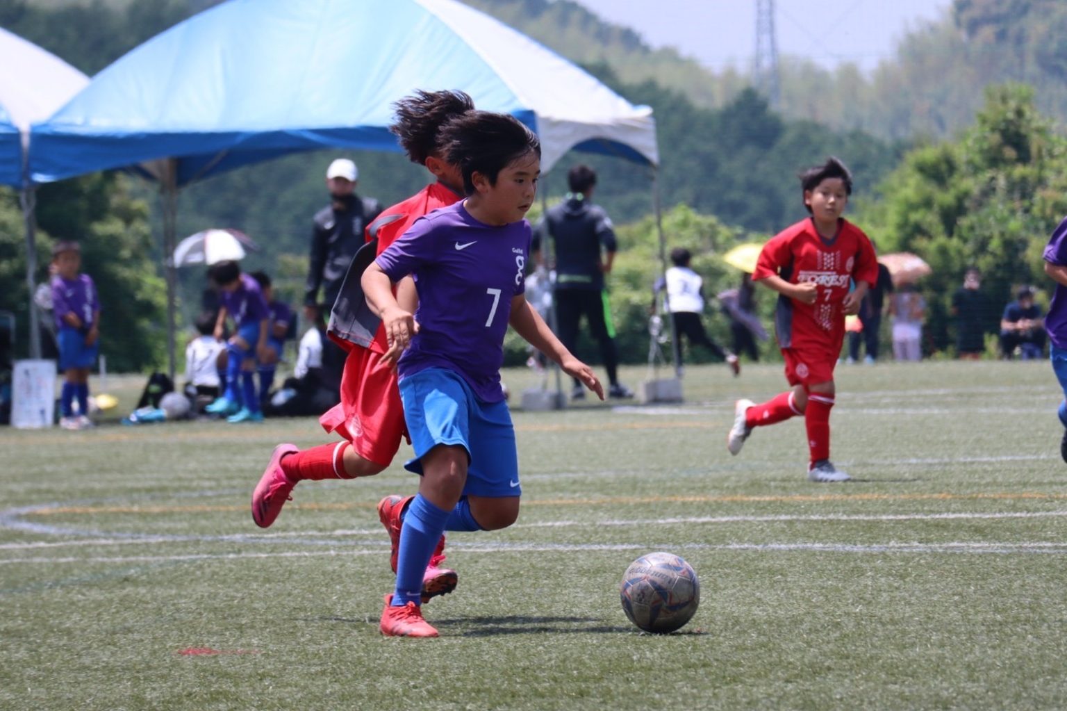 IMG_0418-1536x1023.jpg